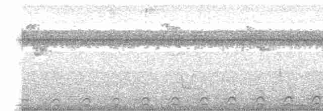 Gray-headed Kite - ML527815961