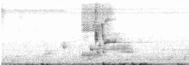 Loggerhead Shrike - ML527839971