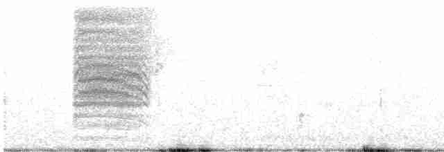 drozdec černohlavý - ML527841531