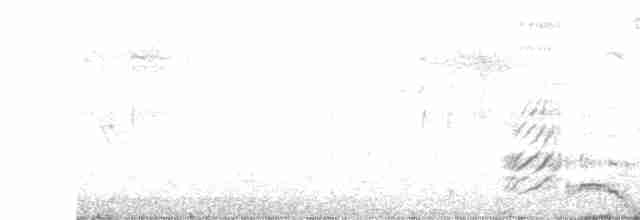 疣鼻天鵝 - ML527891621