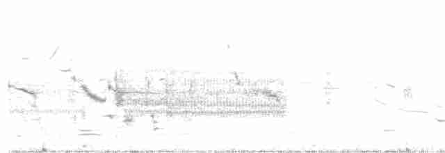 Eastern Meadowlark - ML52796961
