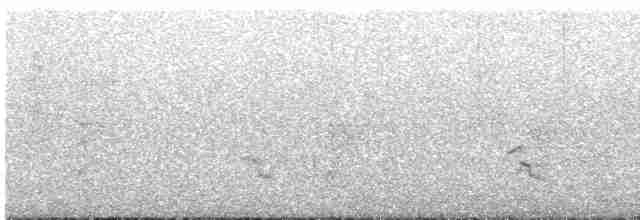 Орёл-яйцеед - ML527999721