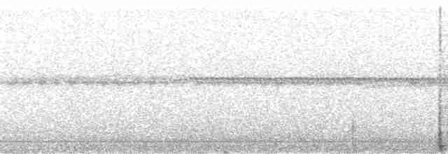 Flavescent Warbler - ML52805