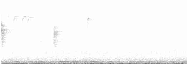 キヅタアメリカムシクイ（coronata） - ML528096631