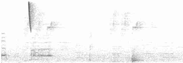 Бледнохвостый венценосец - ML528110981