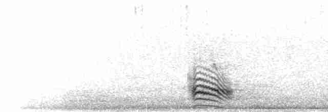 Audio - Pin-tailed Sandgrouse - Pterocles alchata - Birds of