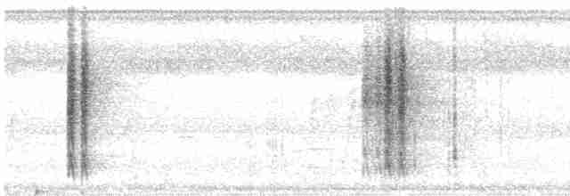 Zimtbürzel-Blattspäher - ML528126381