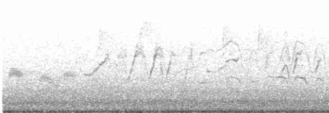 Красноклювая древесная утка - ML528133301