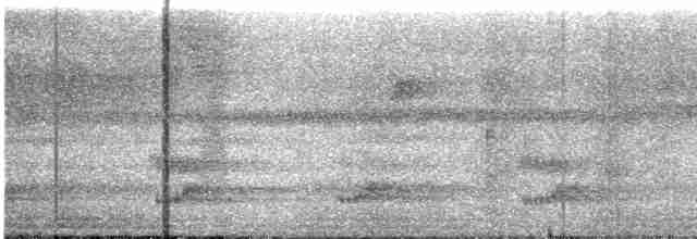 Keel-billed Toucan - ML528133891