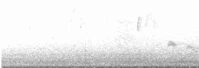 Büyük Mor Kırlangıç - ML528134371