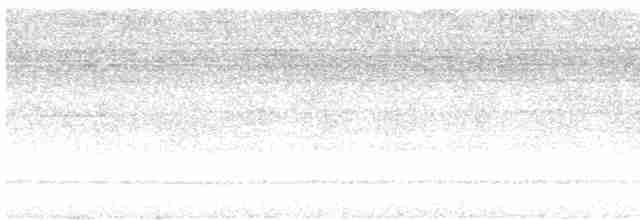 Полосатый канюк - ML528135641
