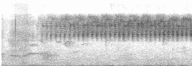 River Warbler - ML528154301