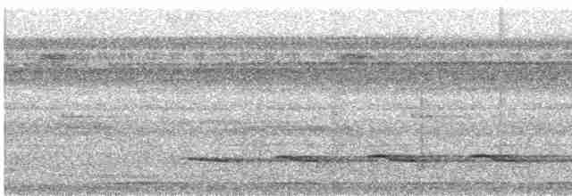 Weißschulter-Ameisenvogel - ML528155471