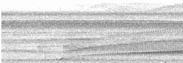 Zimtbürzel-Blattspäher - ML528155501