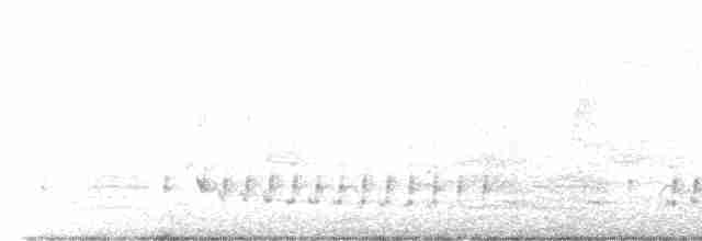 Austral-Schlangenhalsvogel - ML528199421