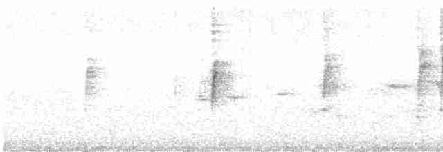 Weißkehl-Kleidervogel - ML528231361