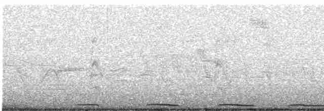 Калифорнийская кукушка-подорожник - ML528291971