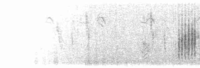 Clamorous Reed Warbler - ML528307821