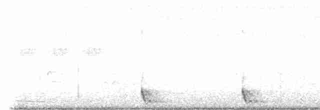 Large-tailed Nightjar - ML528380801