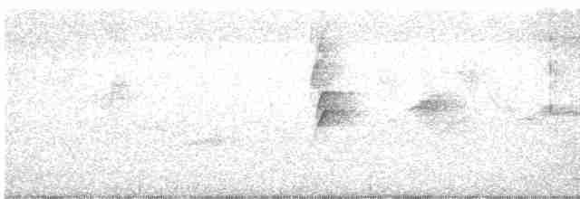 Kauai-Akepakleidervogel - ML528402331
