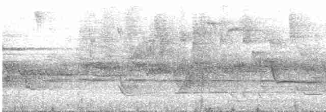 Graumantel-Brillenvogel - ML528420151