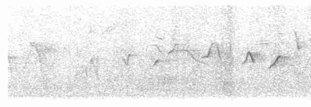 キンガシラアメリカムシクイ（ornatus） - ML528445961