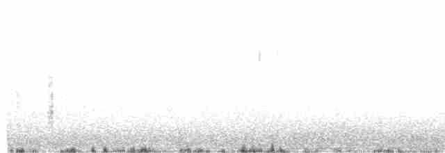 Orite buissonnière (plumbeus) - ML528449001