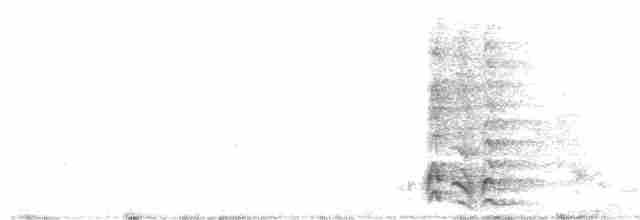 White-necked Crow - ML528461261