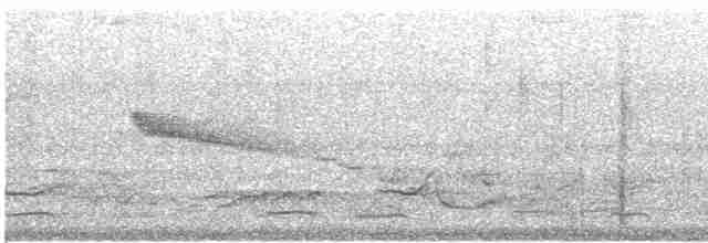 Long-tailed Wood-Partridge - ML528471391