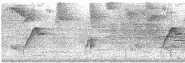 Batı Amerika Sinekkapanı (occidentalis/hellmayri) - ML528472161
