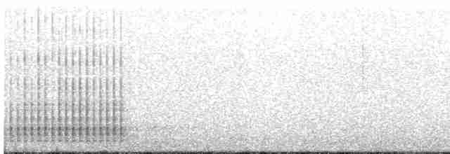 strakapoud proužkohřbetý - ML528472571