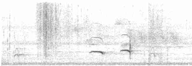 Oriole d'Audubon (dickeyae/nayaritensis) - ML528473041