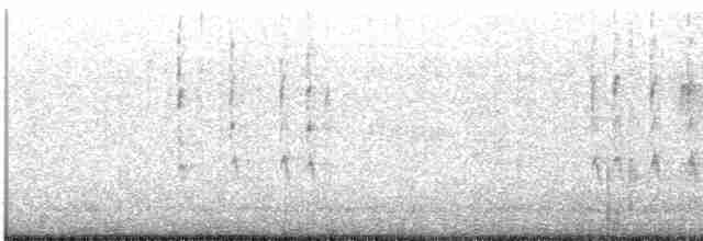 Chochín Hiemal - ML528477001