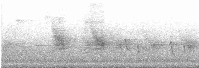 hvitnakkehonningeter - ML528597921