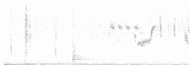 Iberian Gray Shrike - ML528685021