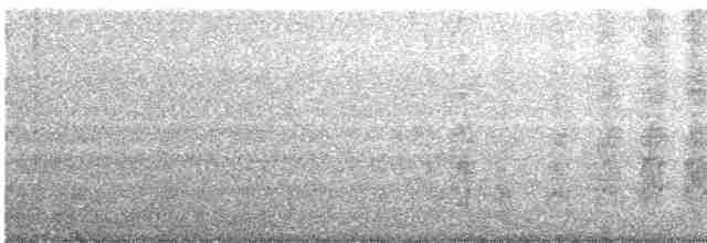 オウム目（インコ科 小さな種） - ML528830861