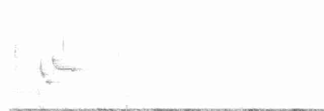 Loggerhead Shrike - ML528851961