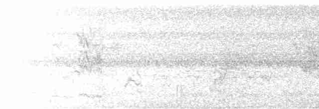 ホオアオサメクサインコ - ML528860141
