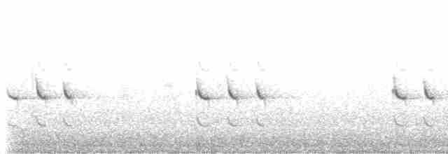 Mérulaxe de Tschudi - ML529008971