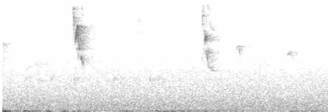 Курета жовтогорла - ML529009111