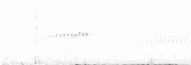 Eye-ringed Thistletail - ML529015001
