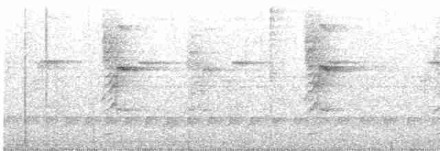 Weißbart-Schattenkolibri - ML529047841