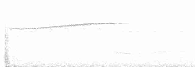 Black-streaked Puffbird - ML529048771
