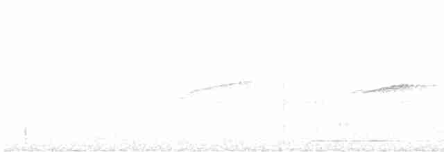Streifenfaulvogel - ML529049121