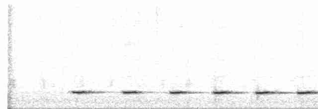 Kolima Serçe Baykuşu - ML529115451