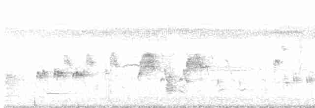 Australian Reed Warbler - ML529118631