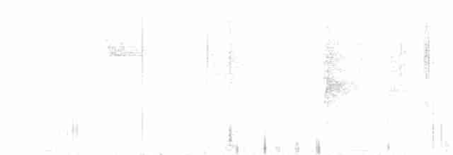 Зерноїд біловусий - ML529151741