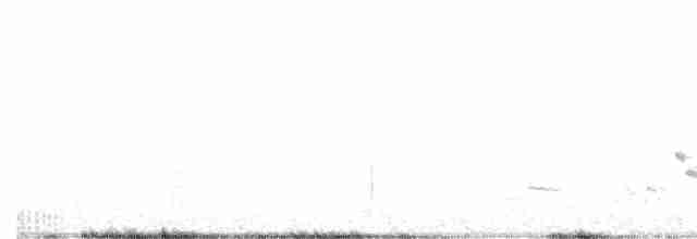 Western Meadowlark - ML529164681