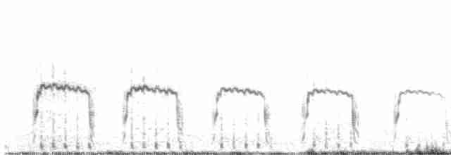 Ornate Tinamou - ML529172861