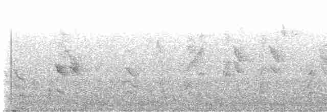 Танагра-короткодзьоб перуанська - ML529191891